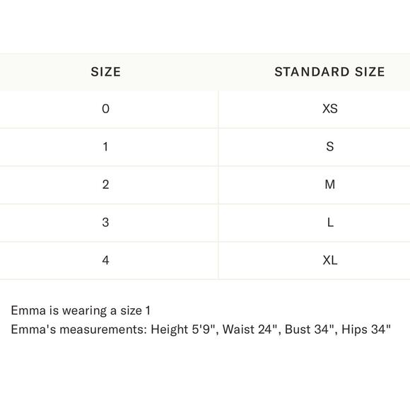 Juliet Dunn Exclusive Pastel Blue Palladio Flared Sleeve Dress NWT Small - Picture 6 of 9